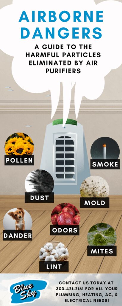 Airborne Dangers: A Guide to the Harmful Particles Eliminated by Air Purifiers Infographic